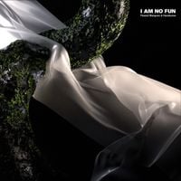 Flawed Mangoes - I Am No Fun