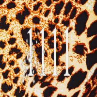 Adam The World - 1111