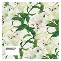 DJ Noriken - Lilium XX