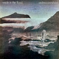Andrew Cronshaw - Wade in the Flood