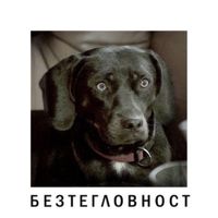 Jluch - Bezteglovnost