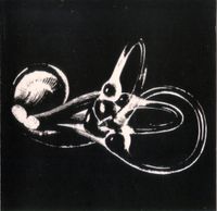 Skeleton Key - Obtainium