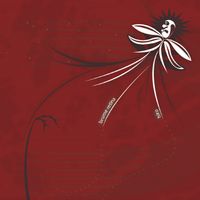 Brume Retina - Split