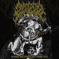Existential Dissipation - Heinous Malformations