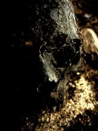 The'M.&Ouml;.&Oslash;.N. - Abominatio Caerimonia MMXXIV