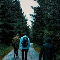 Snowfilter Cult - Cold Winter Hour