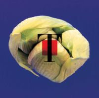 T-Square - Natural