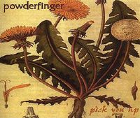 Powderfinger - Pick You Up