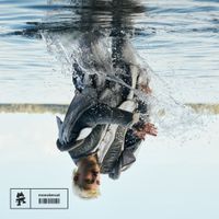 Bishu - microcelebrity (Remixes)