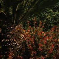 alt-J - Something Good