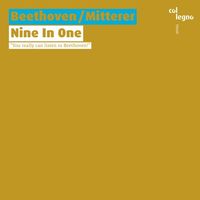 Wolfgang Mitterer - Nine in One
