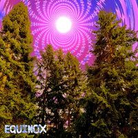 Zizzleberries - Equinox