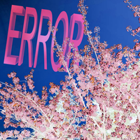 Zizzleberries - C​:​\​Program Files (x86​)​\​DarkMoonGod​.​com​\​resources​\​audio​\​ERROR​.​wav not found.