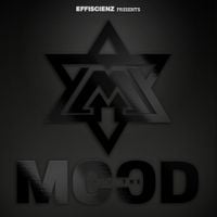 Mood - Into The Mood