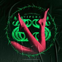 18K - Vipera