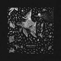 Plini - Kind