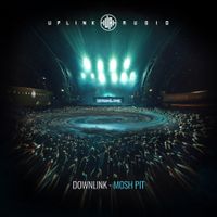 Downlink - Mosh Pit