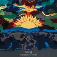 Tunng - Songs You Make at Night