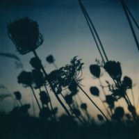 Awakened Souls, Beno&icirc;t Pioulard, Zak&egrave; - My Heart, My Beloved