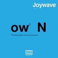 Joywave - Now
