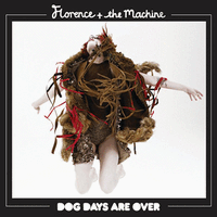 Florence + the Machine - Dog Days Are Over