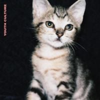Carmen - Youth Culture