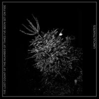 UNCULTIVATES - I'VE LOST COUNT OF THE NUMBER OF TIMES I'VE BEEN SET ON FIRE