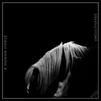 UNCULTIVATES - A HUMAN HORSE