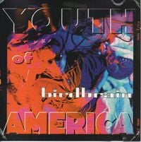 Birdbrain - Youth of America