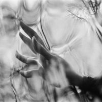 Life On Venus - Negatives