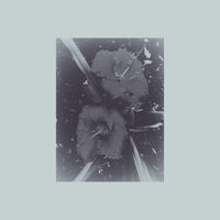 Sadness - burning as the first light