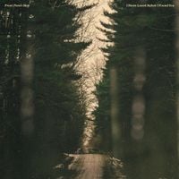 Front Porch Step - I Never Loved Before I Found You
