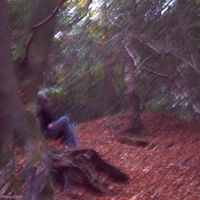 margielaxx - the last thing i can do is wake up
