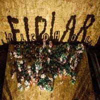 FIDLAR - Alcohol