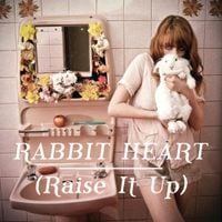 Florence + the Machine - Rabbit Heart (Raise It Up)