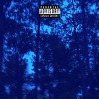 AsaOfficialRizzler - Freezing Dawn Tapes