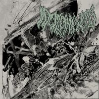 Idolomantis - Festering Ichor