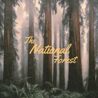 The National Forest - The National Forest