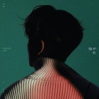 林家謙 [Terence Lam] - 隱形色 [Camouflage]
