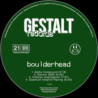 Boulderhead - Suspended Animation