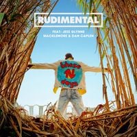 Rudimental - These Days