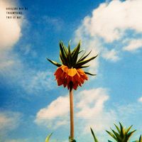 Traumprinz - This Is Not ...