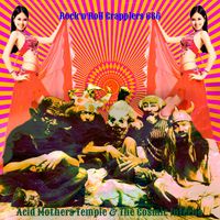 Acid Mothers Temple & The Cosmic Inferno - Rock&rsquo;n&rsquo;Roll Grapplers 666