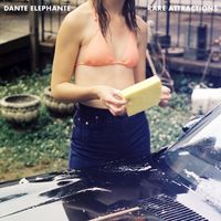 Dante Elephante - Rare Attractions