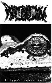 Phyllomedusa - Lilypad Rehearsals