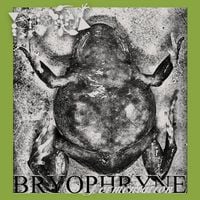 Phyllomedusa - Bryophryne Fermentation
