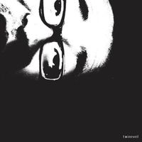 Twineveil - FACET
