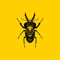 Golden Features - SECT