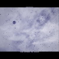 Script4506 - Torn Between Two Worlds