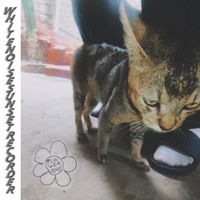 Whitenoisesunsetrecorder - Flowerboy EP